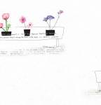 Giấy dán tường trẻ em